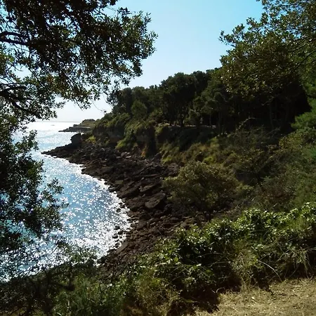 Nid Douillet 公寓 *