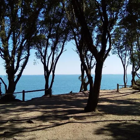 公寓 Nid Douillet 罗什福尔